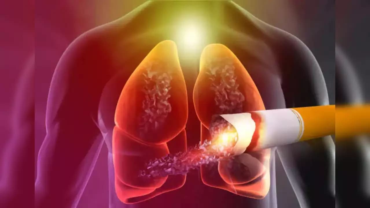 How Native Smokes Are Improving Accessibility and Reducing Illicit Tobacco Supply