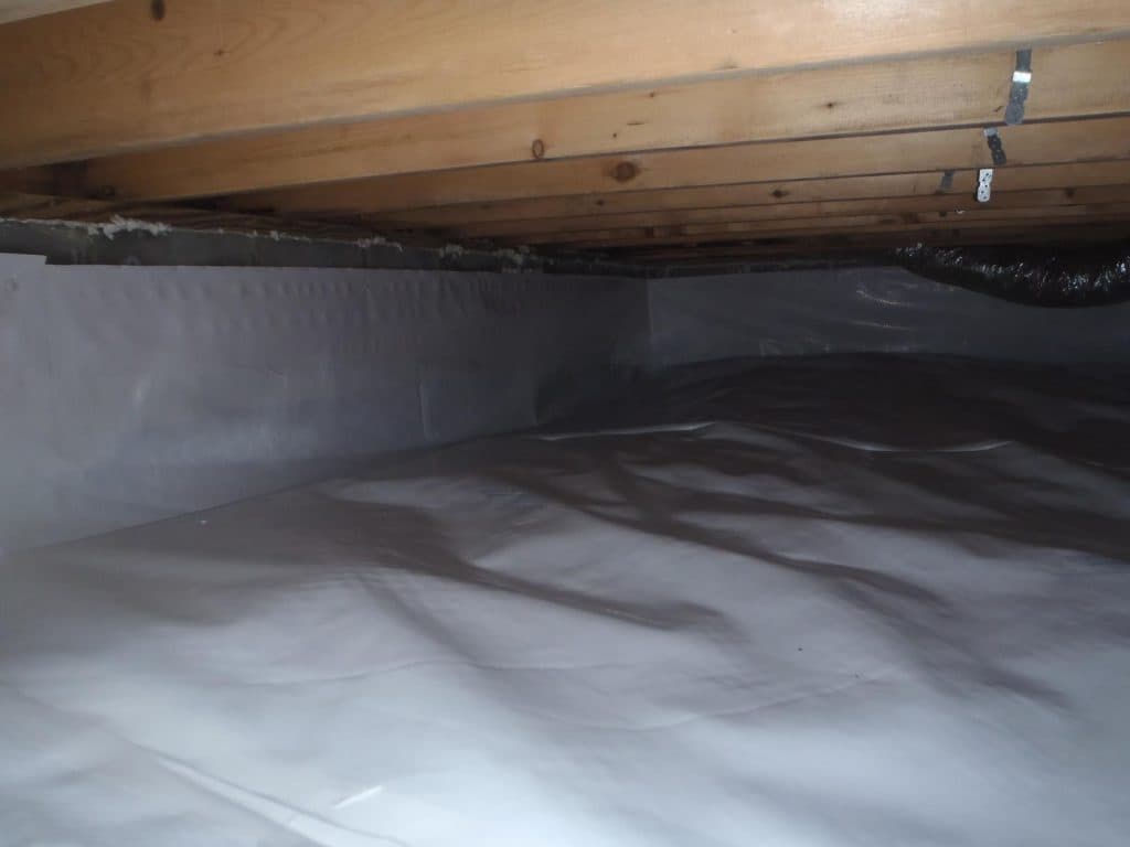 Reliable Basement Waterproofing Solutions for Long-Term Protection
