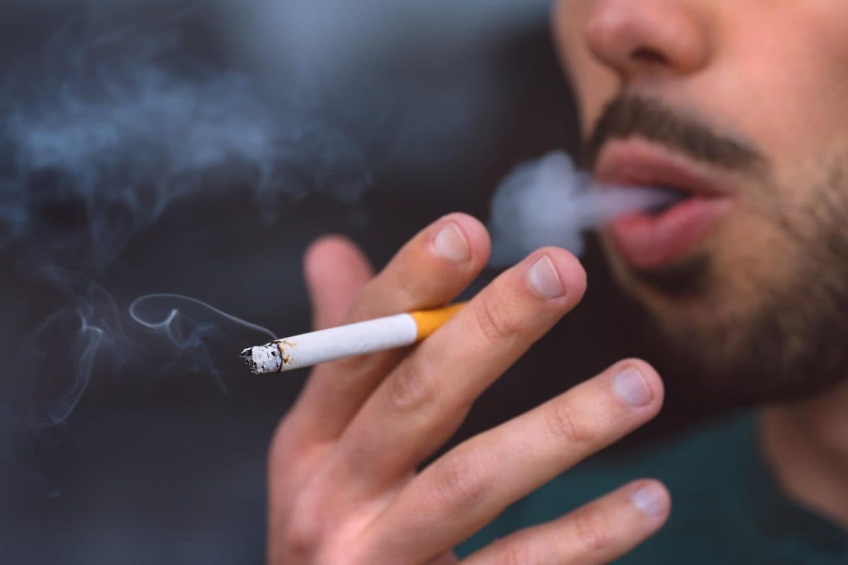 Harvest Cigarettes – Premium Quality Imports from Cigarette Store