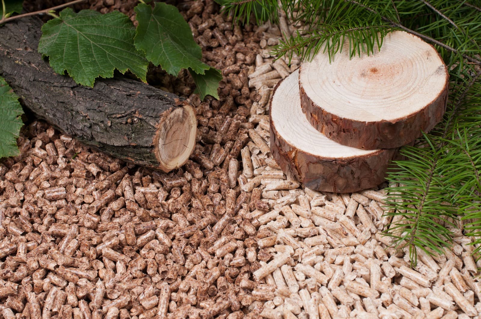 Eco Briquettes Greece: Sustainable and Efficient Heating Solutions