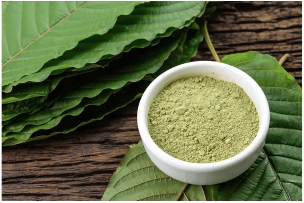 Trusted Sources to Buy Kratom Thailand Safely