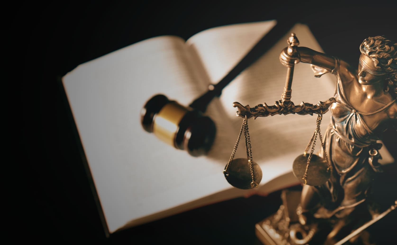 Dakroub Law: Leading Experts in Probate Law Firm in Dearborn Services