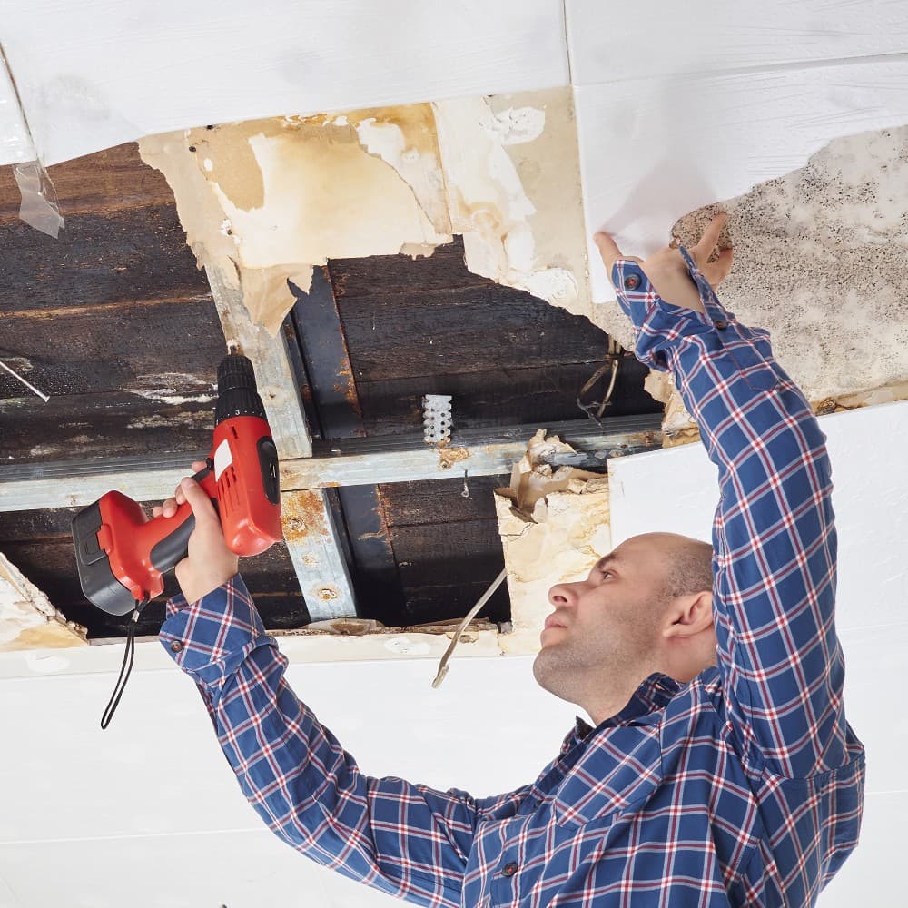 Professional Team for water damage restoration crestview austin tx Needs
