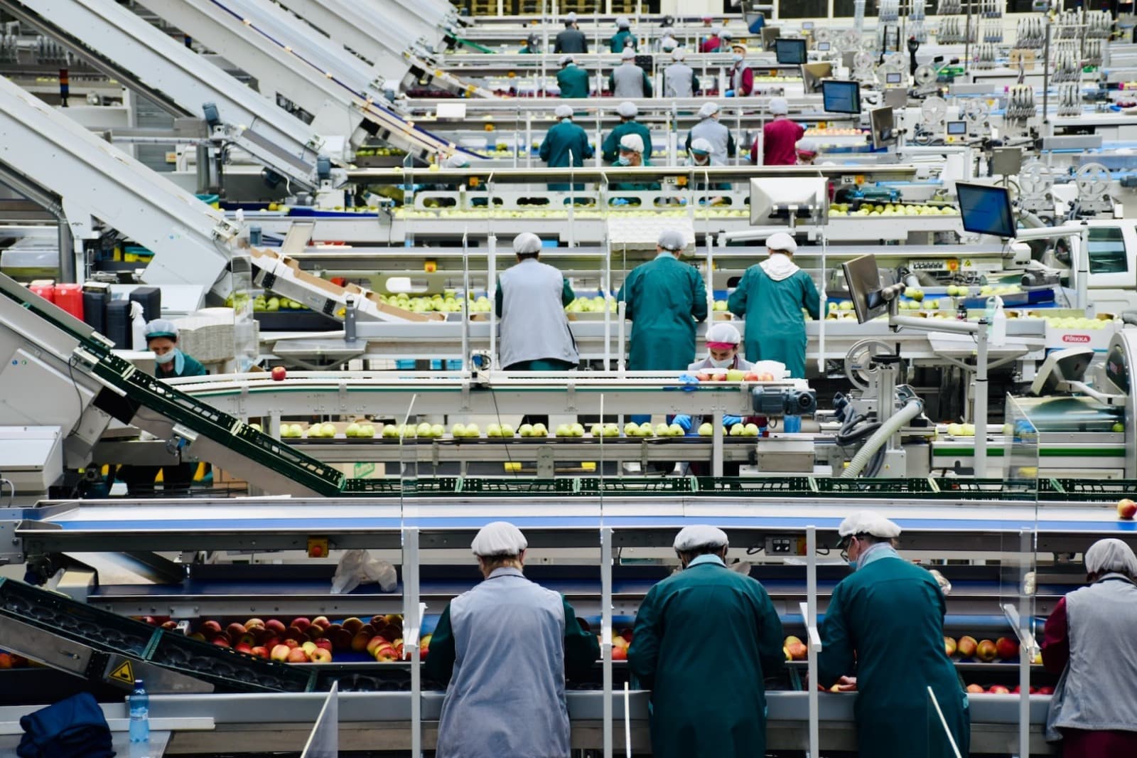 Leading Food Machine Manufacturers in China