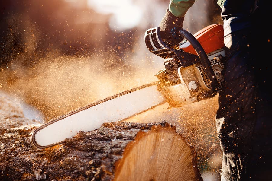 Glenn’s Repair & Rental – Chainsaw Rentals for Fast, Reliable Cutting Power