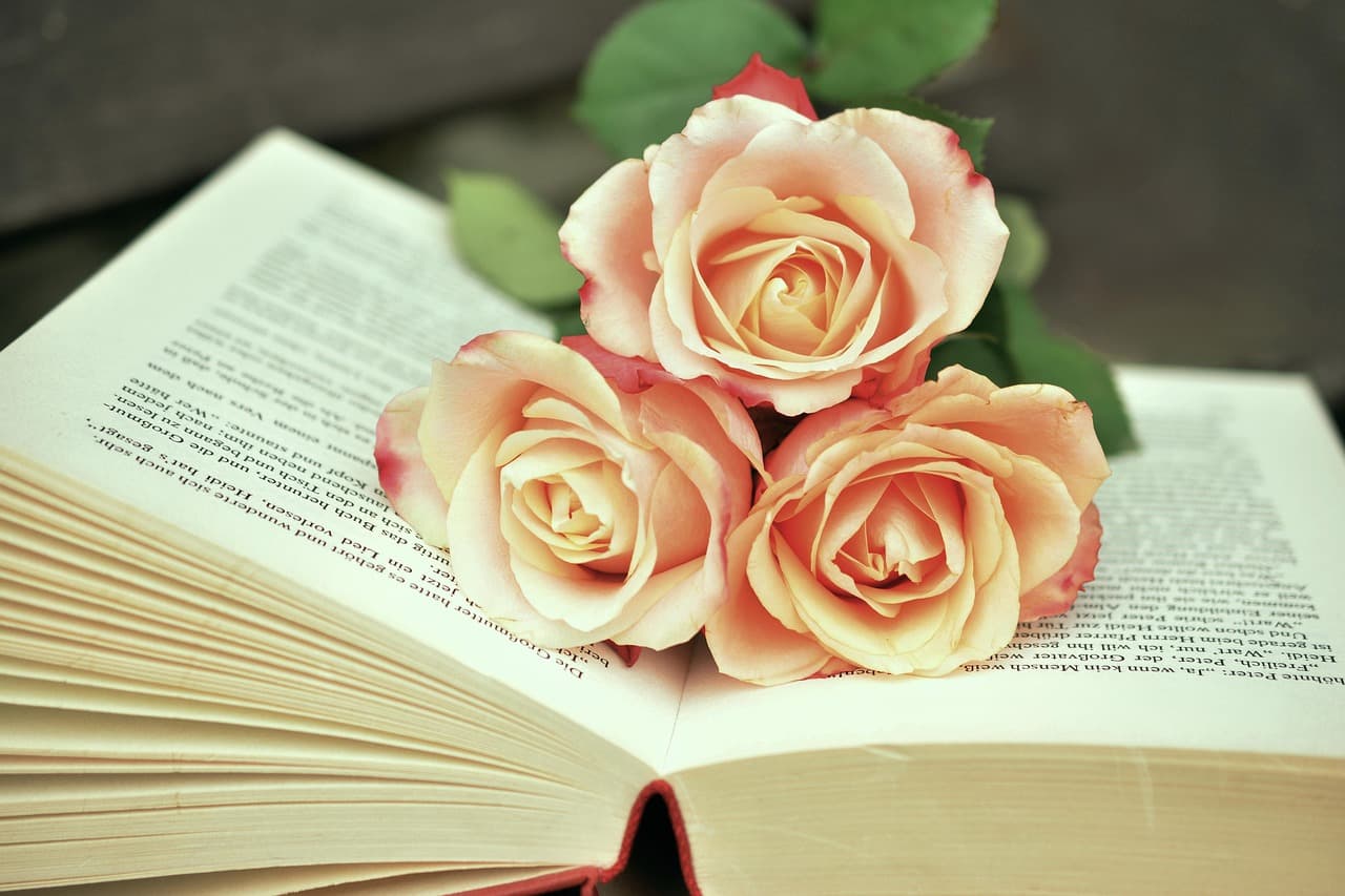 The Grandparent Tales of C.S. Duncan Books Rival the world’s greatest books
