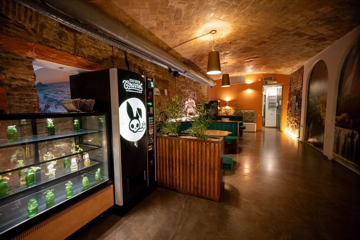 Understanding the Benefits and Legalities of Cannabis Club Membership