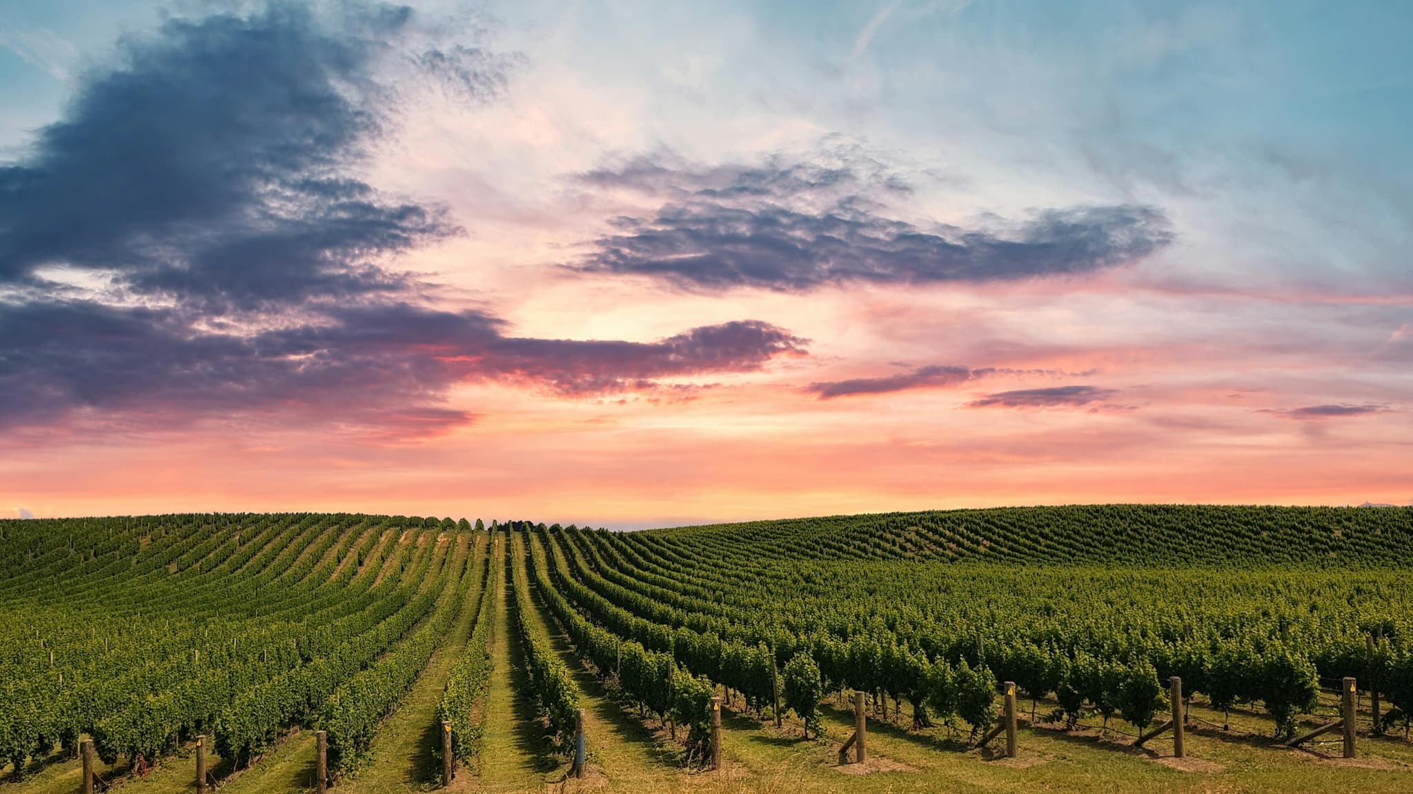 A Weekend Guide to Exploring Clarksburg Wineries