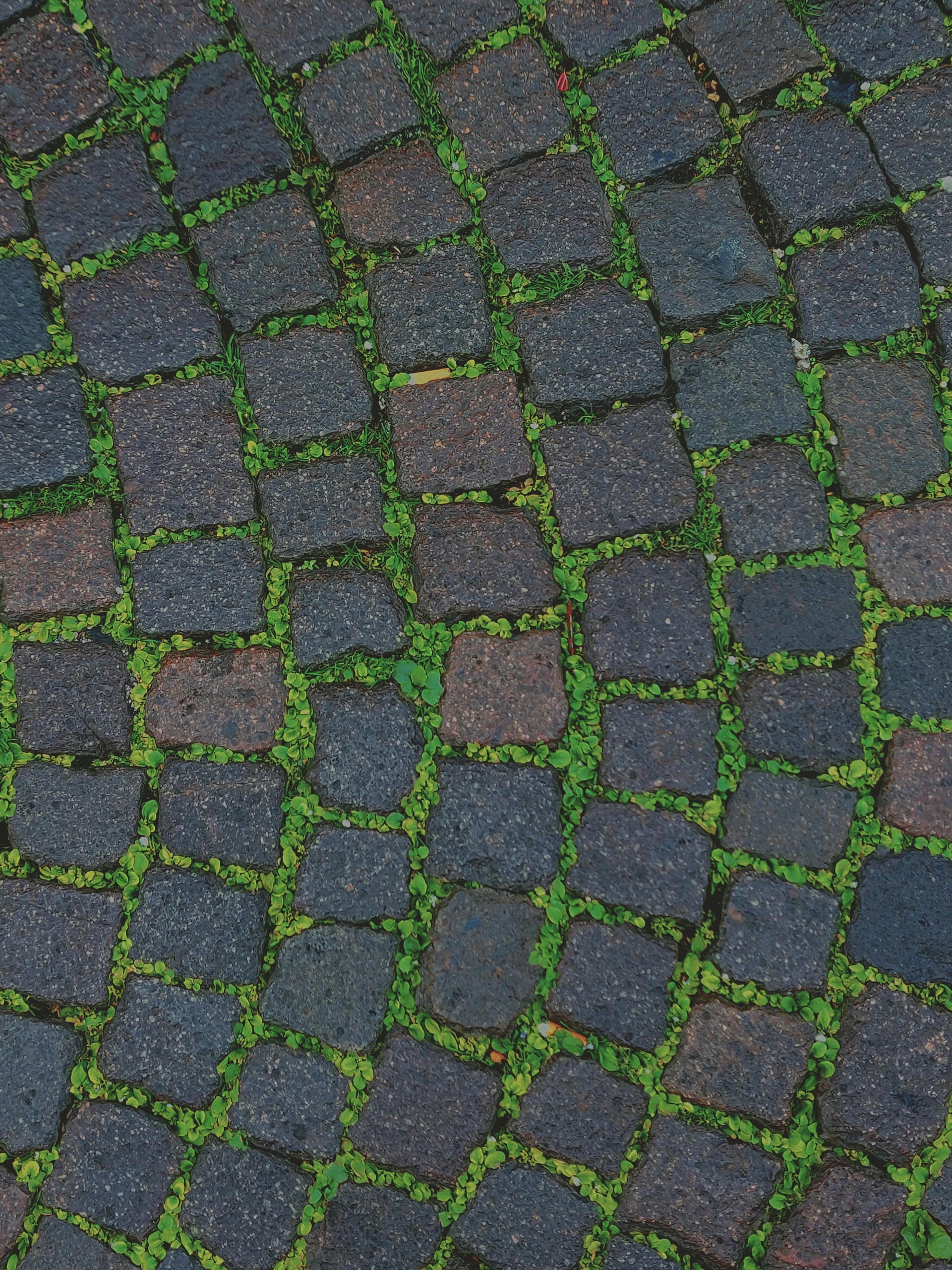 Expert Paving for Residential and Industrial Projects