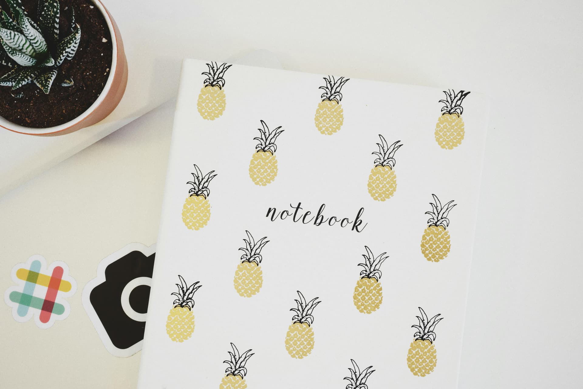 Creative Gifts Made Easy with Dachi Duck