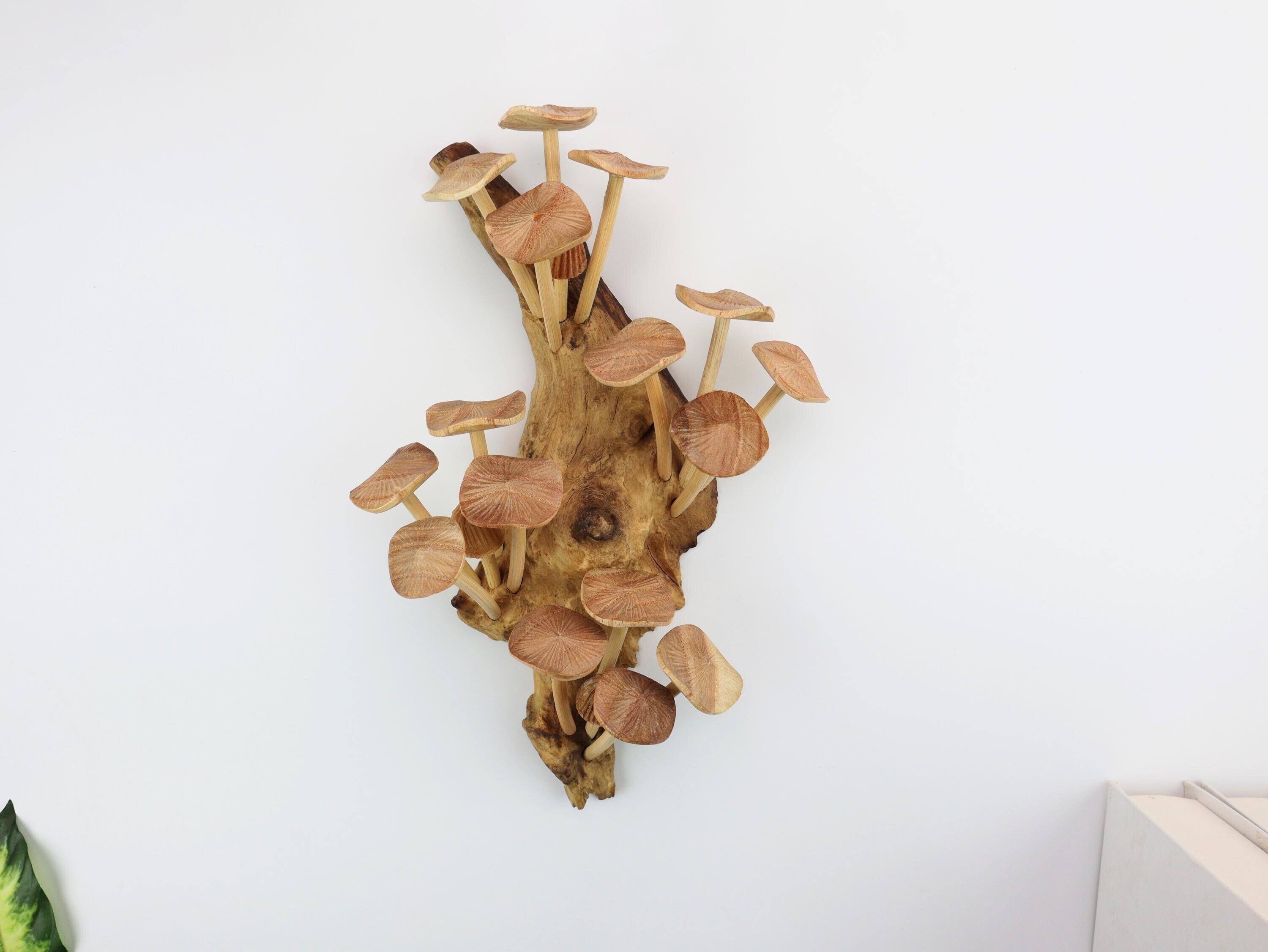 Mushroom Wall Decor Handmade from Real Preserved Wild Mushrooms