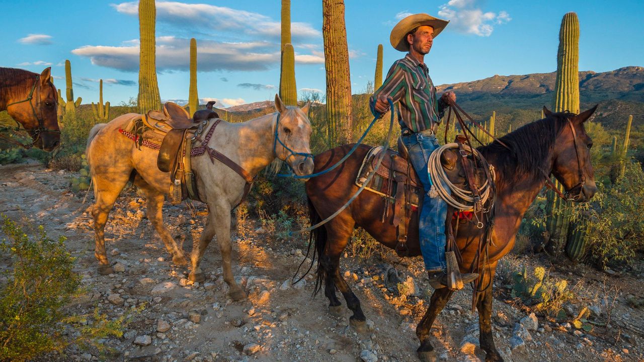 Classic Cowboy Shirt Canada for Everyday Ranch Wear