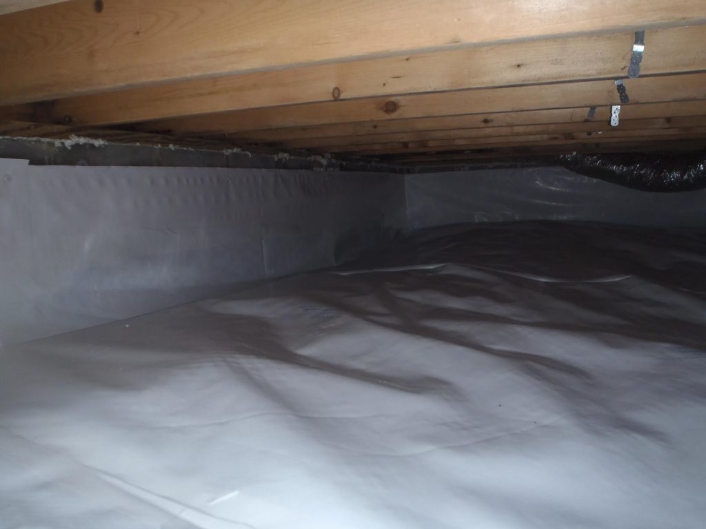 Reliable Basement Waterproofing Solutions for Long-Term Protection