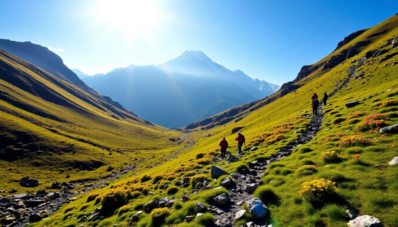 Experience the breathtaking views of the Goechala trek with trekkers navigating a scenic landscape.