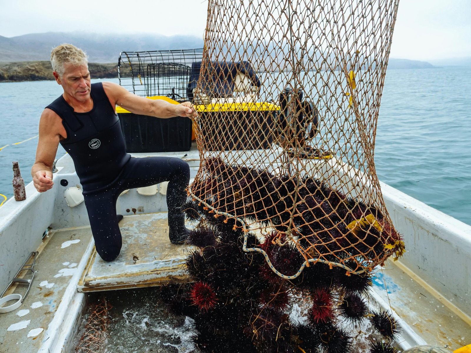 Why a Fly Fishing Net Matters: Benefits You Didn’t Know