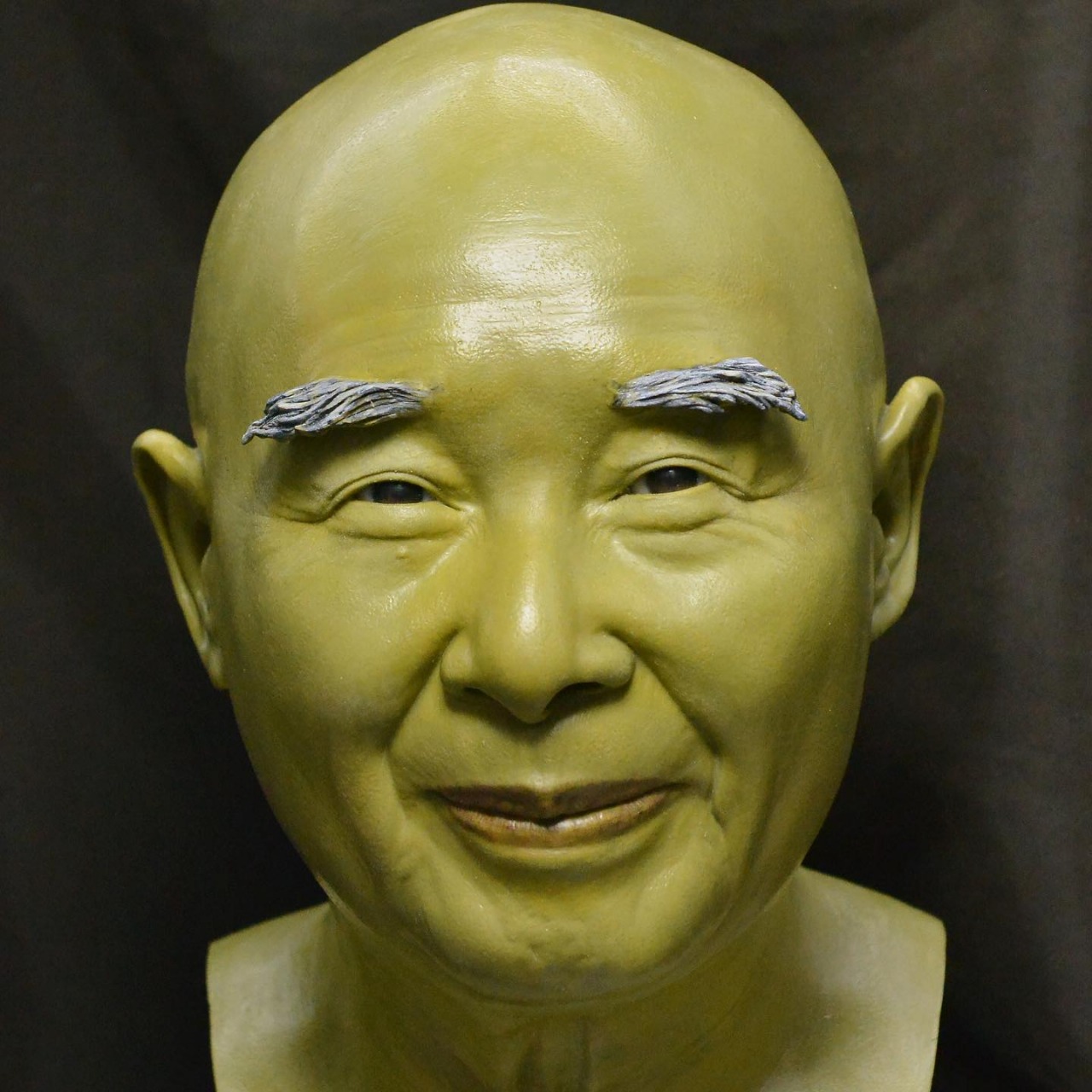 Professional Wax Museum Project Builder with 20+ Years Experience