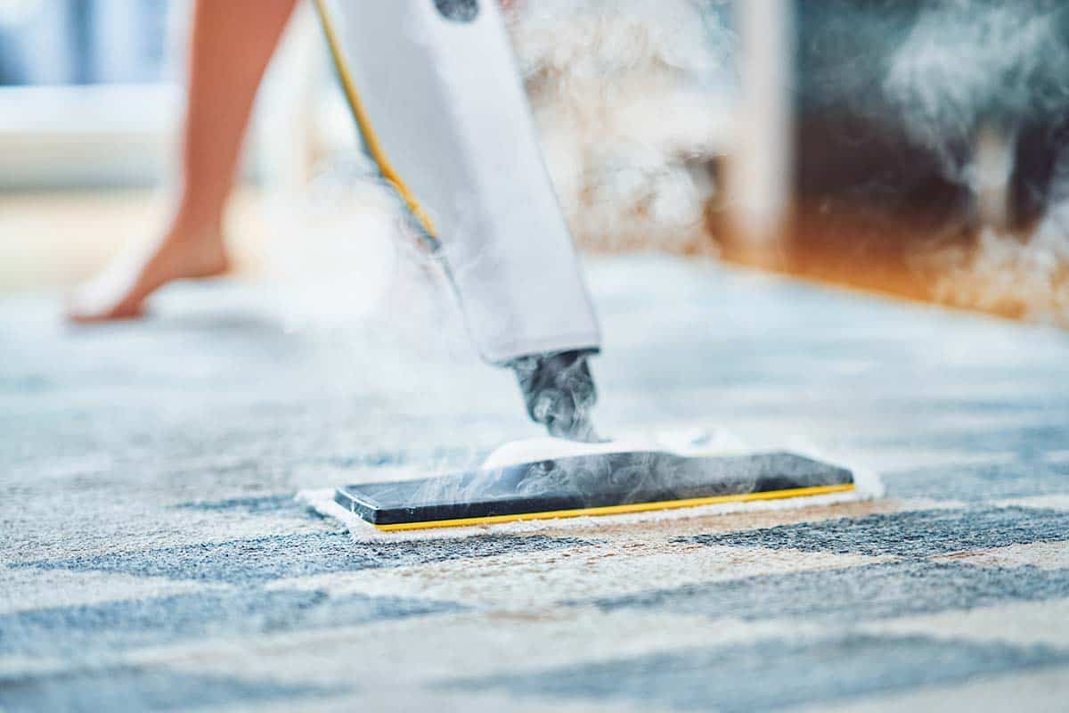 Choose the Best Carpet Cleaning Company – Exceptional Results Every Time