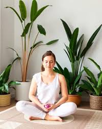 Whole Being Therapy and Breathwork | EMDR & Trauma Therapy in Denver