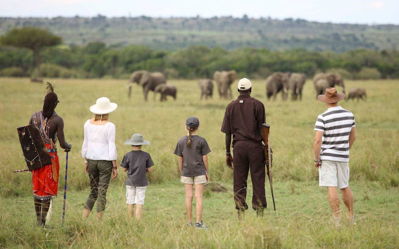 How to Plan a Memorable Kenya Safari Experience