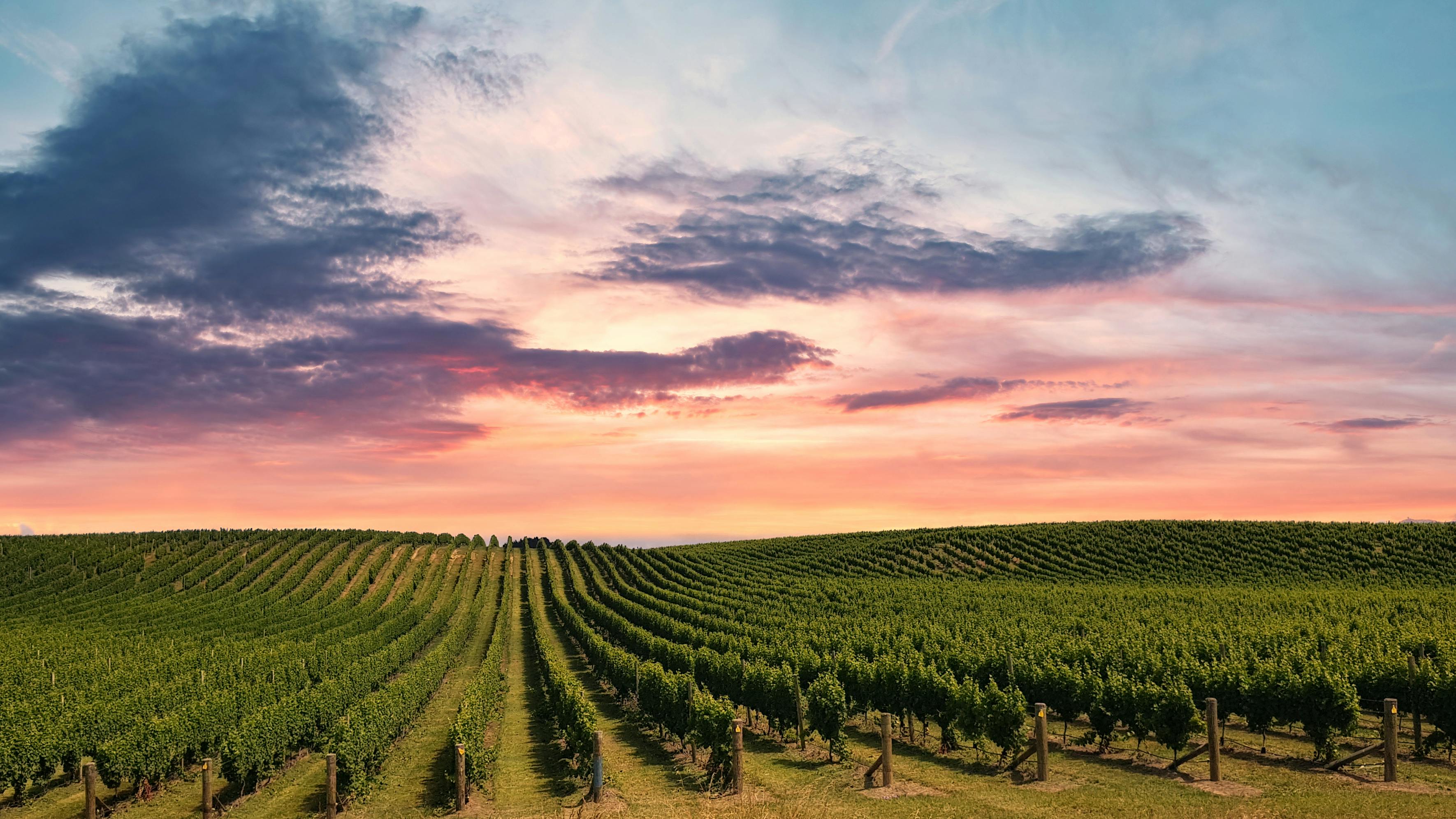 A Weekend Guide to Exploring Clarksburg Wineries
