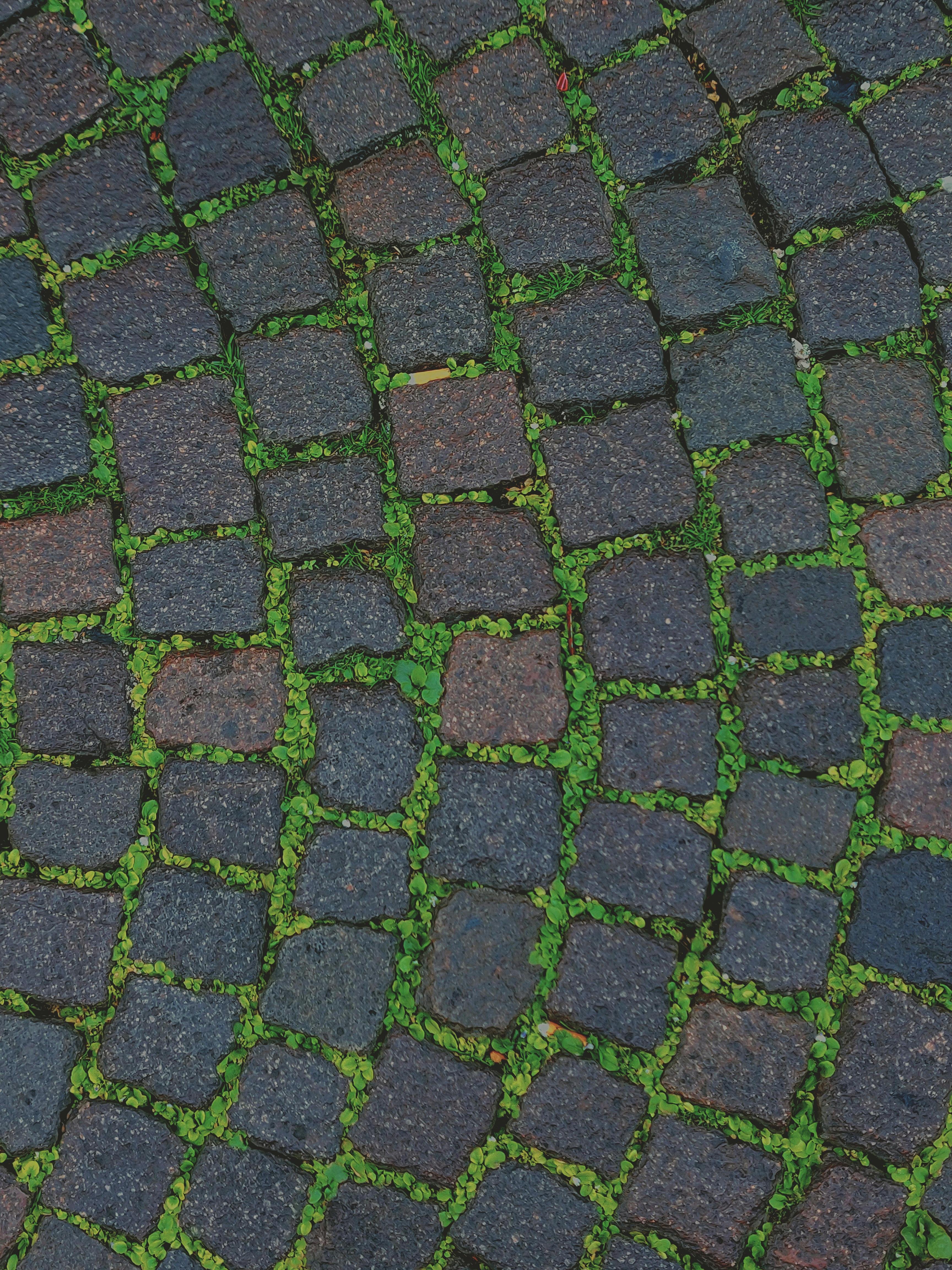 Expert Paving for Residential and Industrial Projects