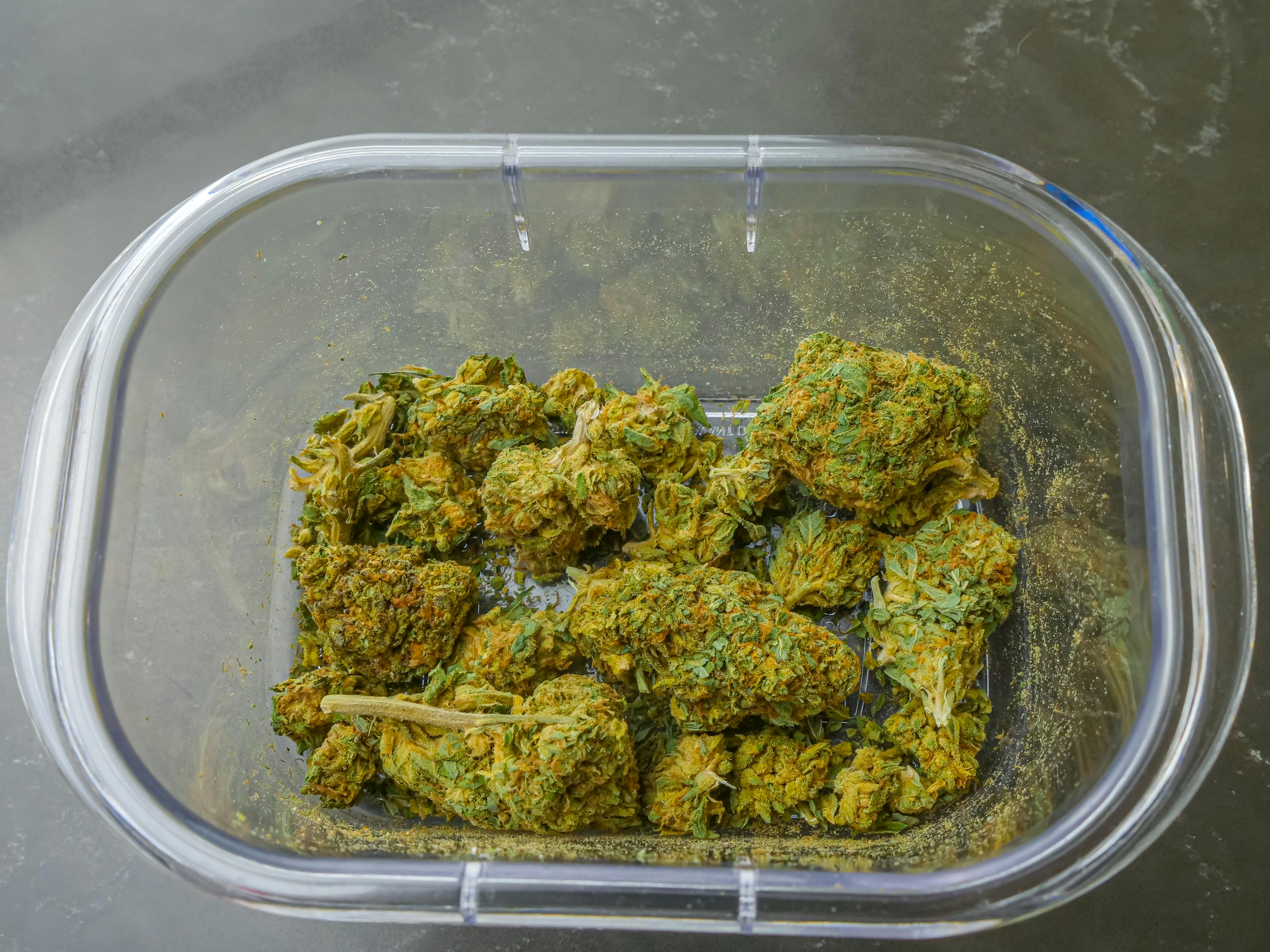 THCA RESEARCH: WHAT EXPERTS ARE DISCOVERING IN 2025