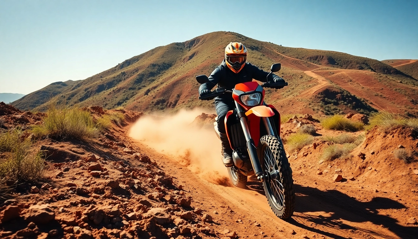 Choosing the Right Off-Road Motorcycle: A Complete Guide from https://relevance.com.ua