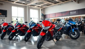 Check out these quality used motorcycles for sale showcased in a modern showroom.