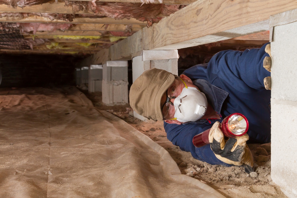 Crawl Space Restoration Including Pest Control and Moisture Solutions