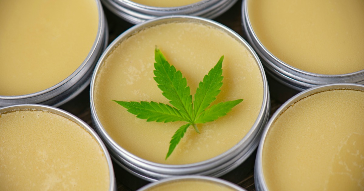 Albino Penis Envy Mushrooms – Bud Cargo Ensures Premium Mushroom Purity