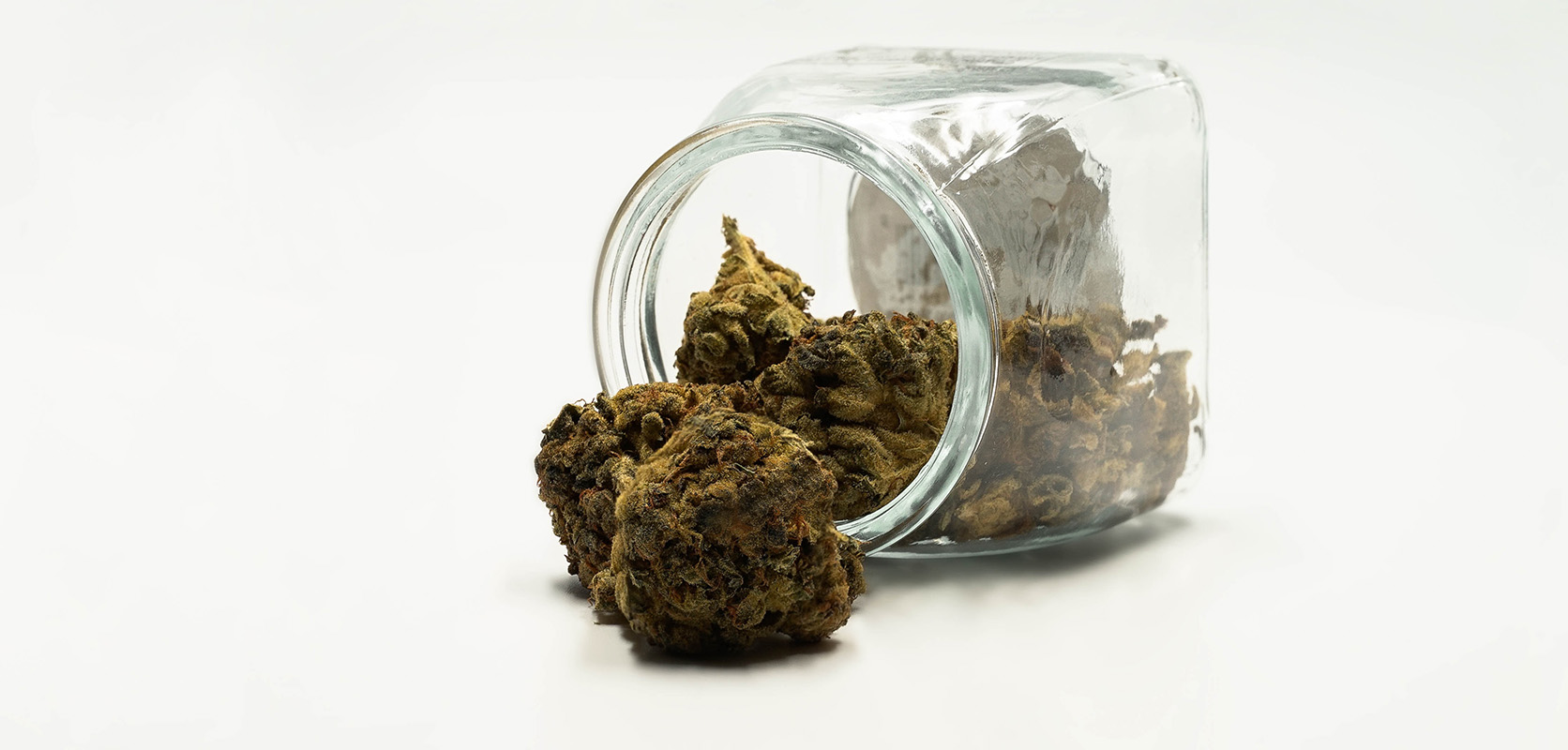 Order Authentic Cannabis Online from Bud Cargo – Try the Popular mandarin cookies strain