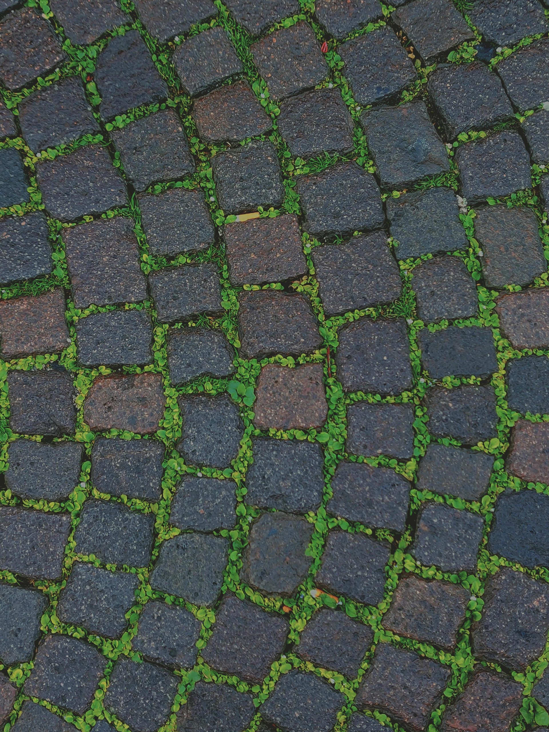 Expert Paving for Residential and Industrial Projects