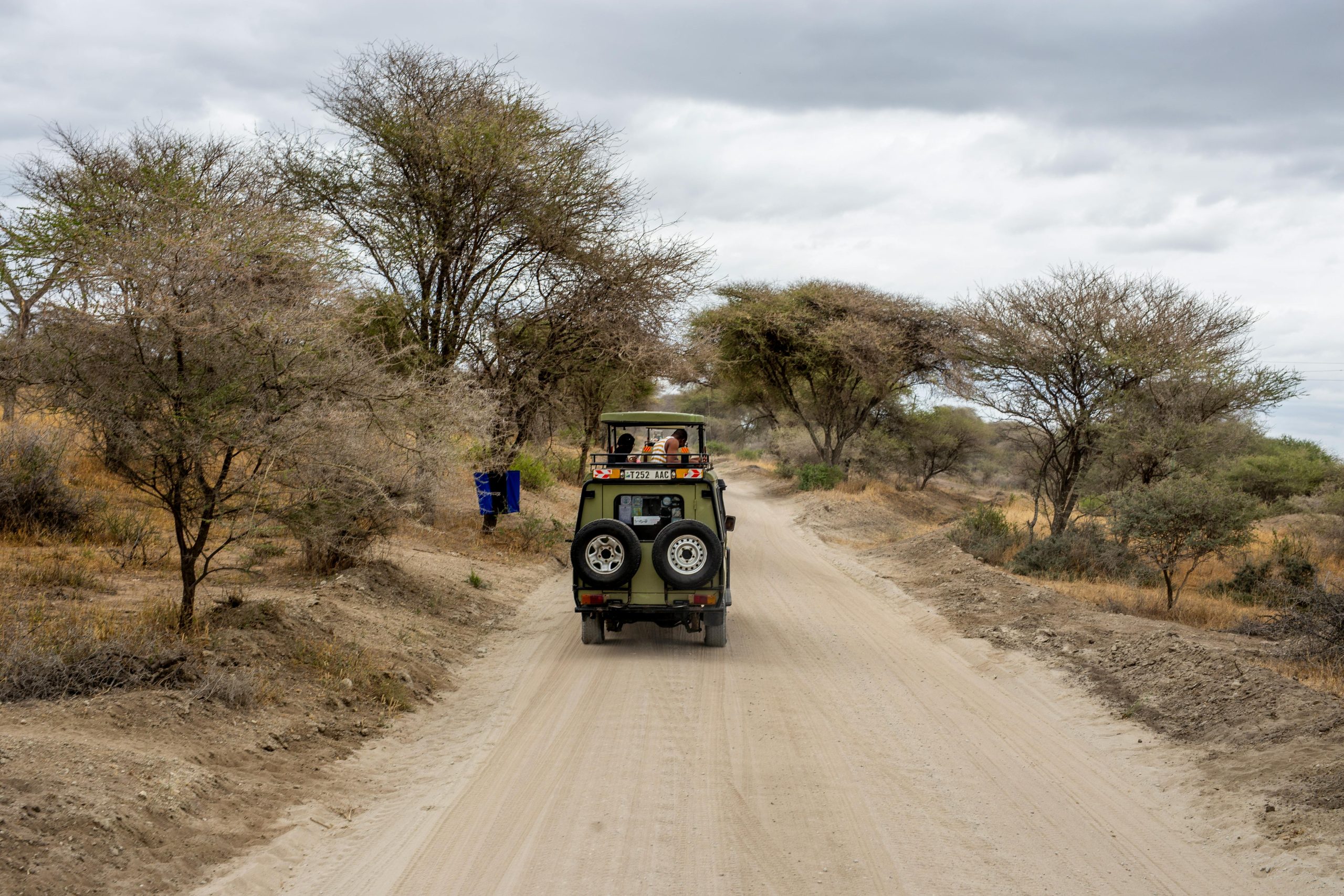 Kenya Tanzania Safari Itineraries for First-Time Travelers