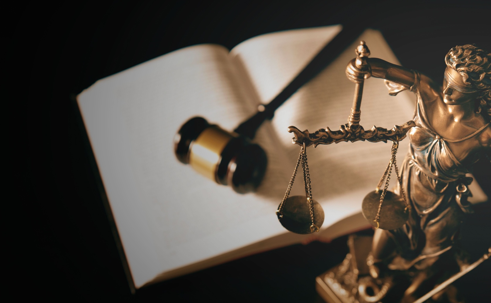 Dakroub Law: Leading Experts in Probate Law Firm in Dearborn Services