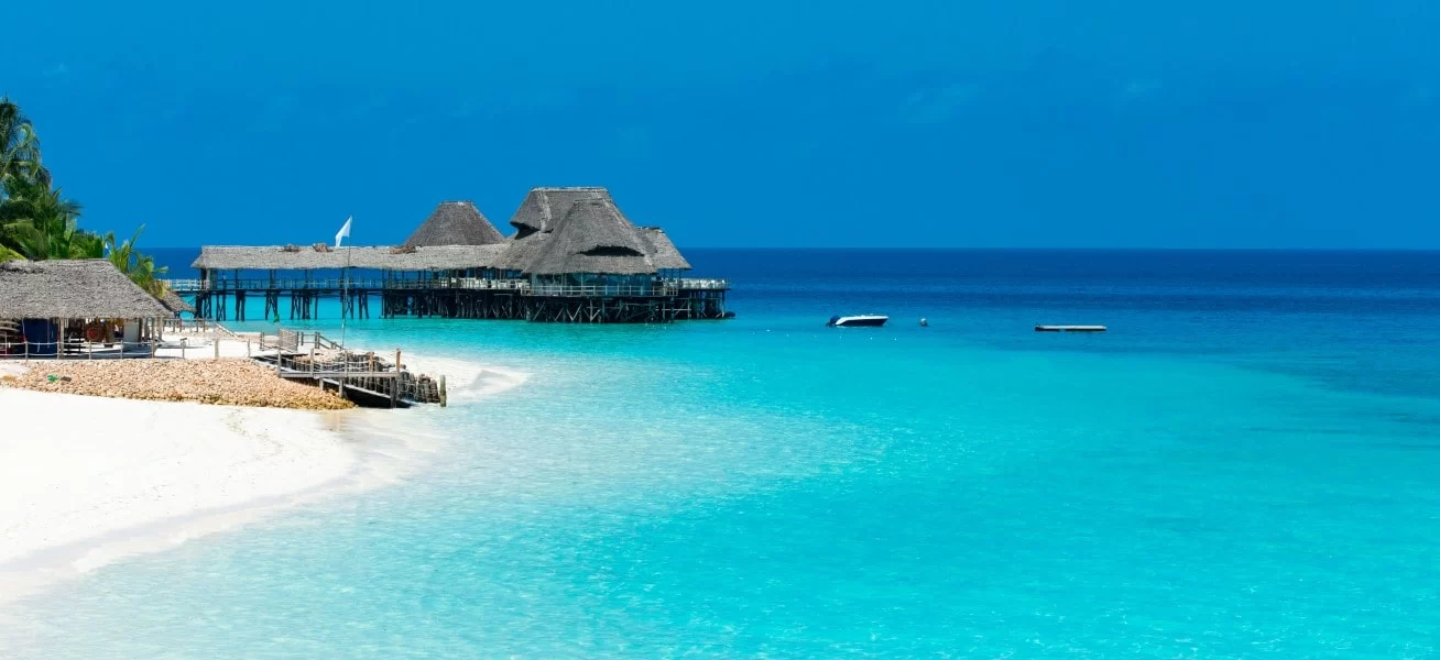 amazing-bird-eyes-view-zanzibar-1-Custom-min